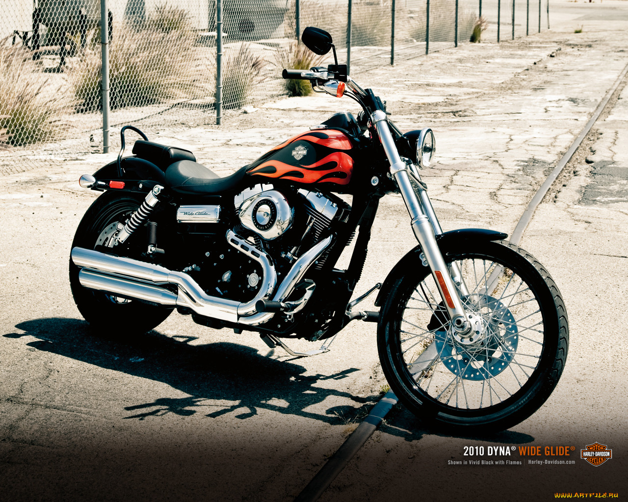 , harley, davidson